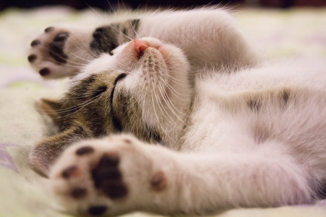 a good nights sleep